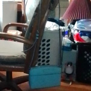 Kate Spade crossbody purse